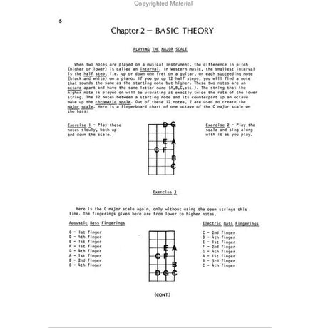 A sample page showing a Bass Theory lesson on a white background