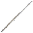The image shows a silver-colored Western concert flute positioned diagonally against a white background. It features a long cylindrical body with multiple tone holes, round key pads, and the traditional three-section design: headjoint with embouchure hole, body, and footjoint. This woodwind instrument, made of metal, is commonly used in orchestras, bands, and solo performances.