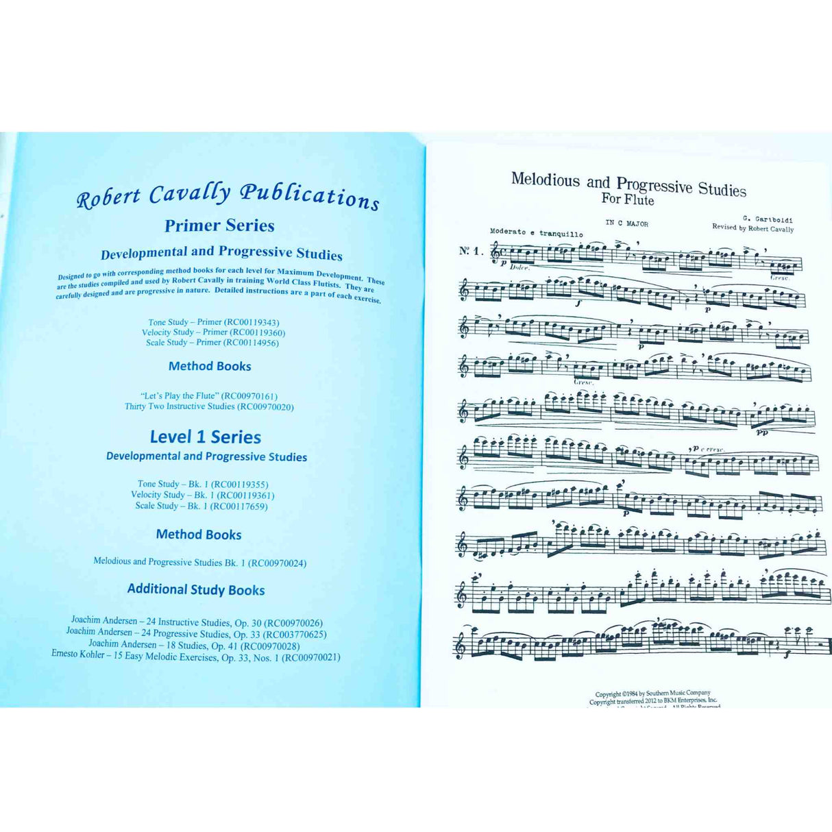 Melodious and Progressive Studies for the Flute - Book 1 - Revised Edition