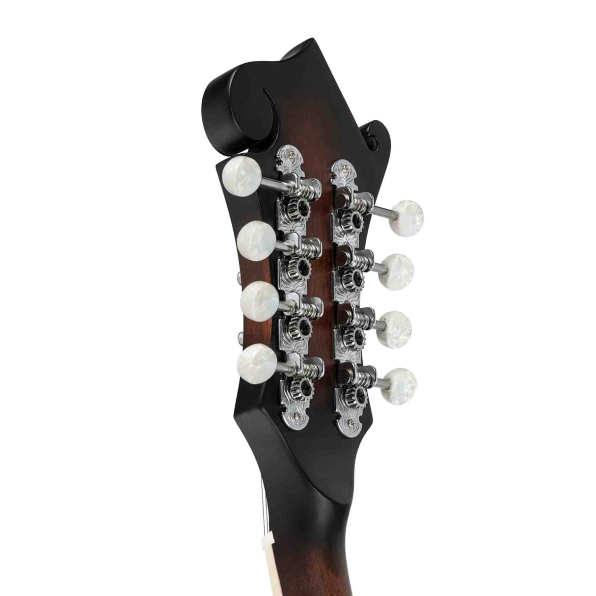 The image shows the headstock of a mandolin featuring eight chrome-plated tuning pegs arranged in four pairs with white tuning buttons. The dark wood headstock, likely walnut or similar, has a black-stained front and ornate, high-quality tuning hardware. This acoustic mandolin is crafted with attention to detail, reflecting its traditional double-string design tuned to G-D-A-E courses.