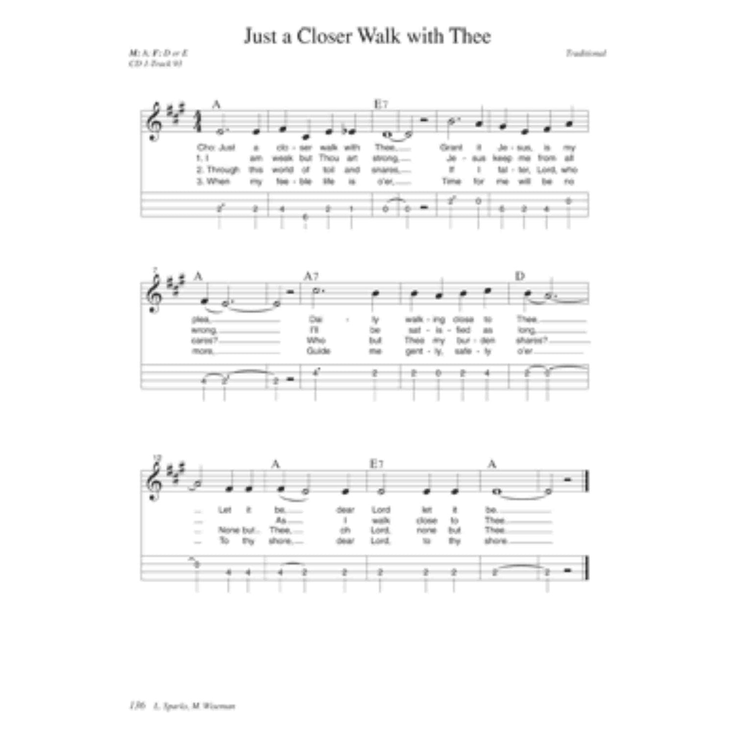 Parking Lot Picker's Songbook Mandolin - Book and Online Audio
