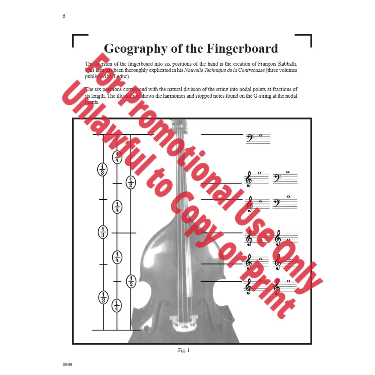 Page from a Double Bass book explaining the geography of the fingerboard. 