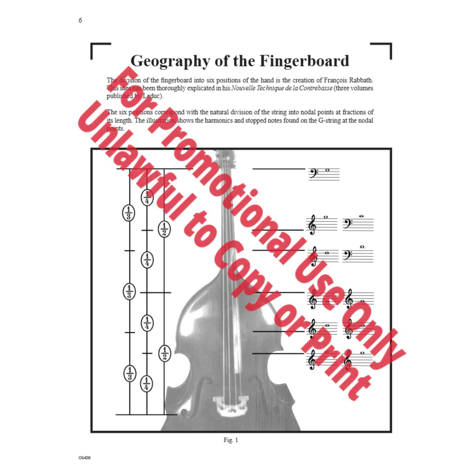 Page from a Double Bass book explaining the geography of the fingerboard. 