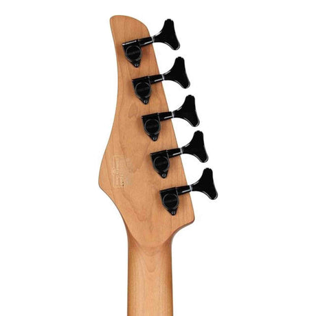 Close-up of a back of a bass headstock with black tuning pegs on a white background