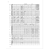 The image shows a full orchestral score with multiple instrumental parts arranged vertically. It includes woodwinds (piccolo, flute, oboe, clarinets), brass (French horns and others), strings, percussion, and harp. The notation features varied rhythms, melodic lines, rests, and markings like "rall." This comprehensive score allows conductors to coordinate all sections in professional performances.