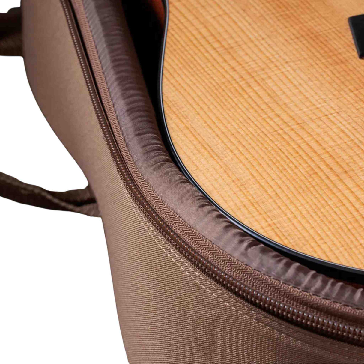 Taylor 150ce Bajo Quinto - 10-String Acoustic Electric with Gig Bag - Spruce Top