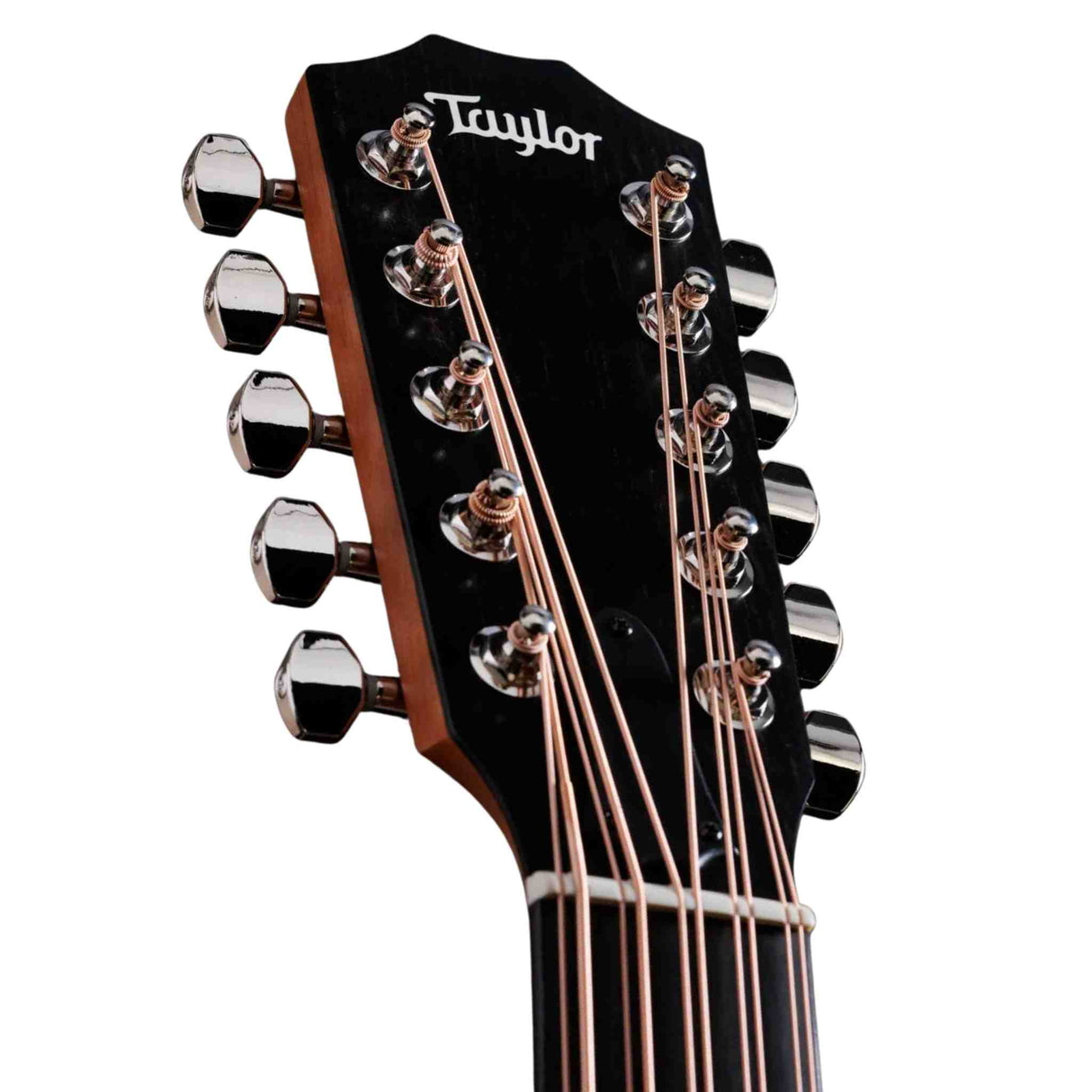 Taylor 150ce Bajo Quinto - 10-String Acoustic Electric with Gig Bag - Spruce Top