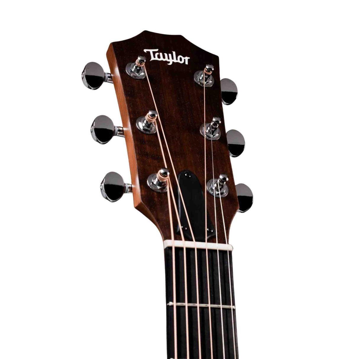 Taylor 24ce Mahogany Top Acoustic Electric Guitar with Gig Bag Case