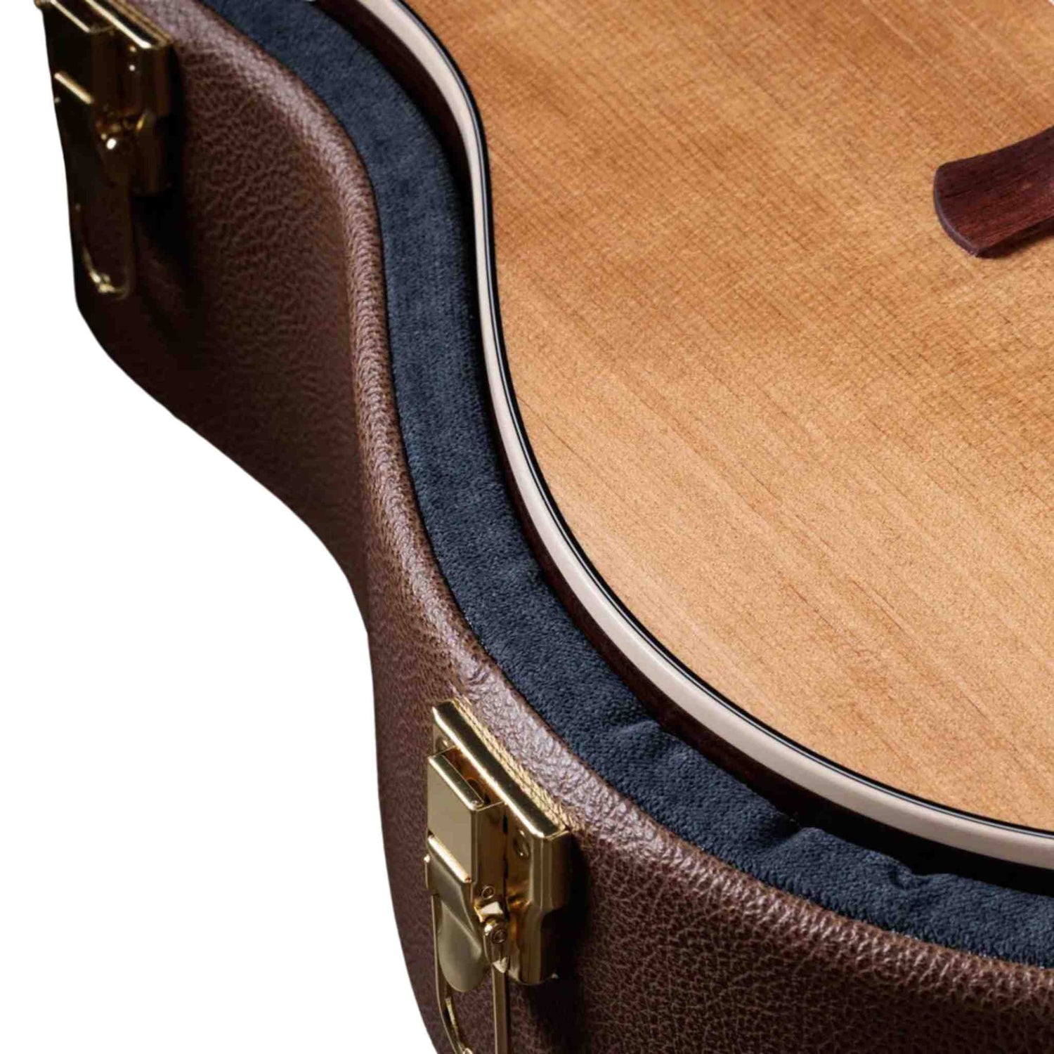 Taylor Gold Label 710e - Acoustic Electric Guitar with Hardshell Case - Sitka Spruce Top